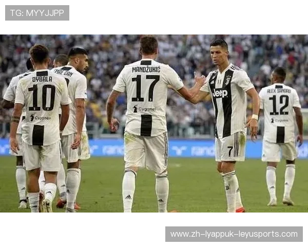 转会市场中的数字博弈：足球会计视角下的球员估值模型